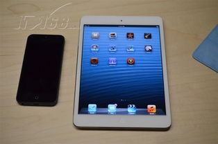 Apple iPad mini MD529CH/A 深入透析輕度快捷休閑配置的雙份視覺選擇**